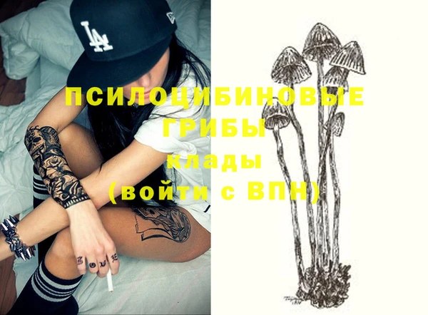 мескалин Нягань